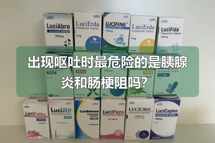 出现呕吐时最危险的是胰腺炎和肠梗阻吗？